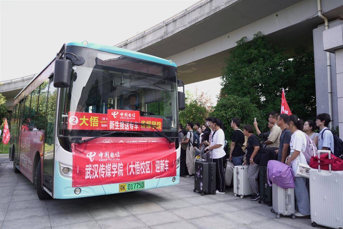 dhy网址